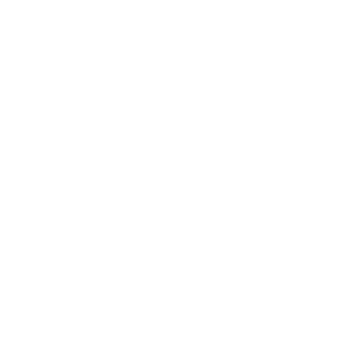 Learn Point Icons Logo Lightbulb White
